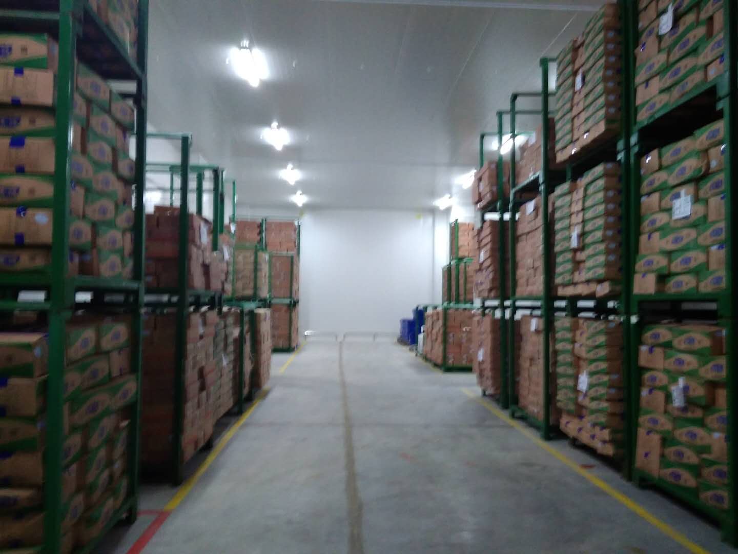 建設(shè)8500㎡陰涼物流低溫倉庫安裝配置方案費用是多少? 建設(shè)8500㎡陰涼物流低溫倉庫安裝配置方案費用是多少?