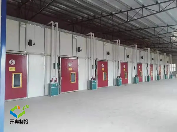 在農貿果園建造一個水果氣調保鮮冷庫怎么樣 在農貿果園建造一個水果氣調保鮮冷庫怎么樣