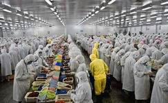 上海電商冷庫建造、運營