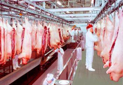 天貓超市電商冷庫建造、運營