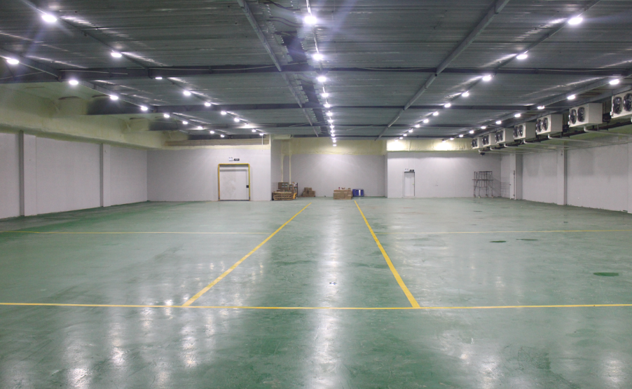 300噸提子葡萄冷藏庫造價(jià),提子葡萄冷藏庫設(shè)計(jì)