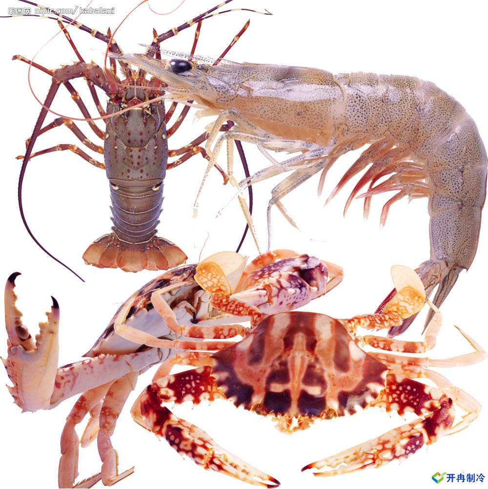 500平米海鮮冷庫建造，-25℃冷凍庫造價多少錢