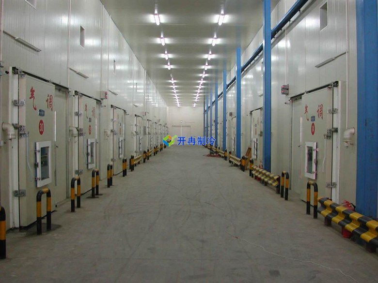 開冉制冷，蒜薹冷藏庫